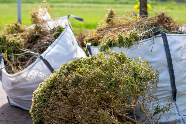 Best Professional Junk Removal  in Byram, MS